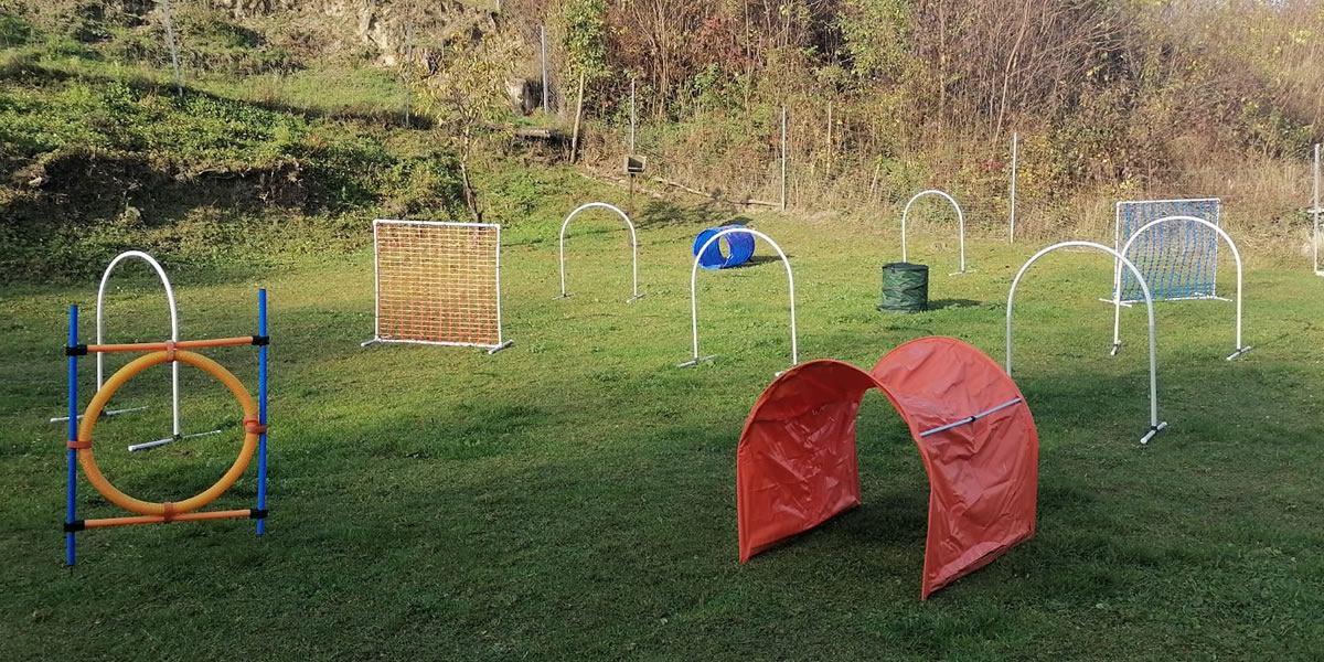 Hoopers (Agility) bei Gibpfote